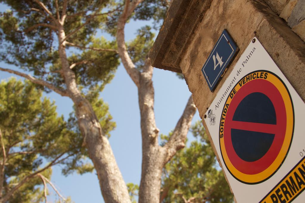 Villa Els Pins Palma de Mallorca Ngoại thất bức ảnh